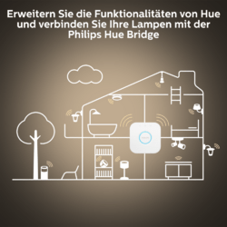 Philips Hue White Ambience Enrave Deckenleuchte XL inkl. Dimmschalter Schwarz