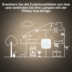 Philips Hue White Ambience Enrave Deckenleuchte M inkl. Dimmschalter Schwarz