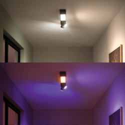 Philips Hue White & Color Ambience Centris Spot 2 flg. Schwarz