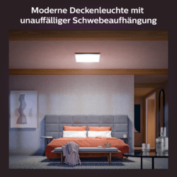 Philips Hue White & Color Ambience Surimu Panel 60x60cm Silber