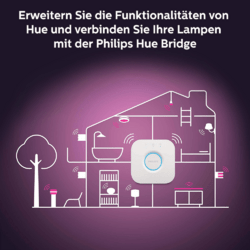 Philips Hue White & Color Ambience Infuse Deckenleuchte L Weiß
