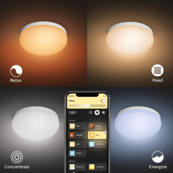 Philips Hue White & Color Ambience Flourish Deckenlampe Weiß