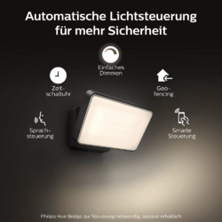 Philips Hue White Welcome Flutlicht Silber