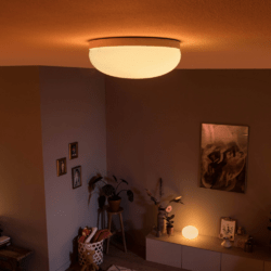 Philips Hue White & Color Ambience Flourish Deckenlampe Weiß