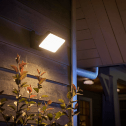 Philips Hue White & Color Ambience Discover Flutlicht Schwarz