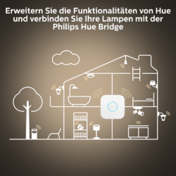 Philips Hue White Ambience Enrave Deckenleuchte S inkl. Dimmschalter Weiß