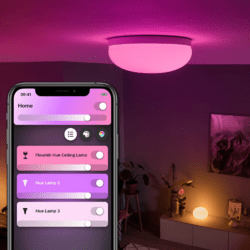 Philips Hue White & Color Ambience Flourish Deckenlampe Weiß